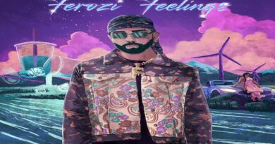 Talwar - Ferozi Feelings cover