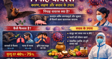 निपाह वायरस: कारण, लक्षण, बचाव और क्यों यह आज भी एक गंभीर वैश्विक स्वास्थ्य खतरा है